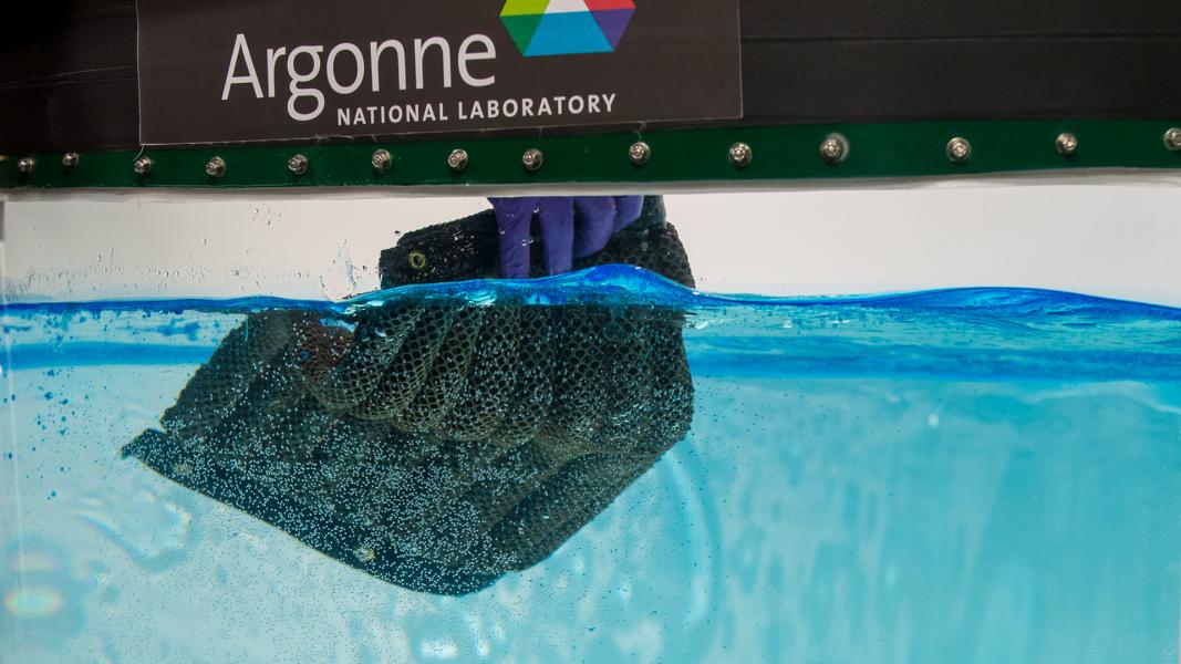 Black sponge in blue water.