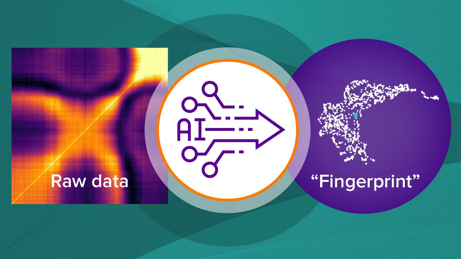 Graphical representation of flow left to right; first a fuzzy square violet and orange image labeled "raw data"; second a round graphic with AI and arrow to right; third a violet background circle with white graphic labeled "fingerprint".