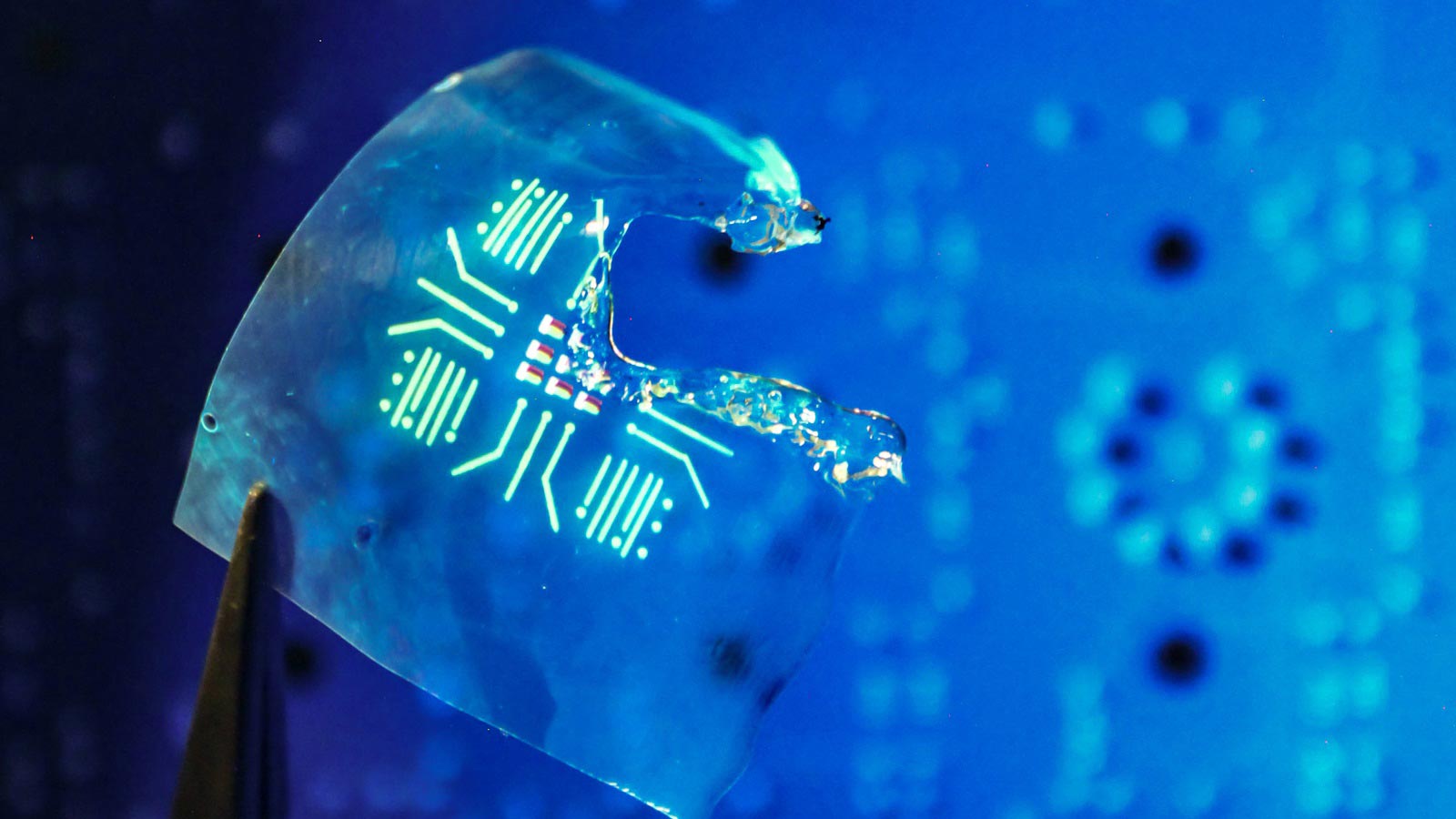 A thin translucent blue chip covered in light blue glowing lines; held by dark tweezers, over a blurry blue background. The chip is melted away in upper right corner.